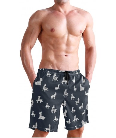 Board Shorts Men's Quick Dry Swim Trunks with Pockets Billiard Ball Beach Board Shorts Bathing Suits - Animal Nature Llamas P...