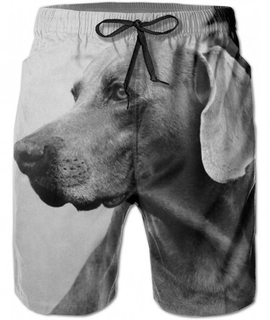 Board Shorts Men's Swim Trunks Dog Labrador Funny Animal Dog Surfing Beach Board Shorts Swimwear - CV18TNTSTG0 $54.89